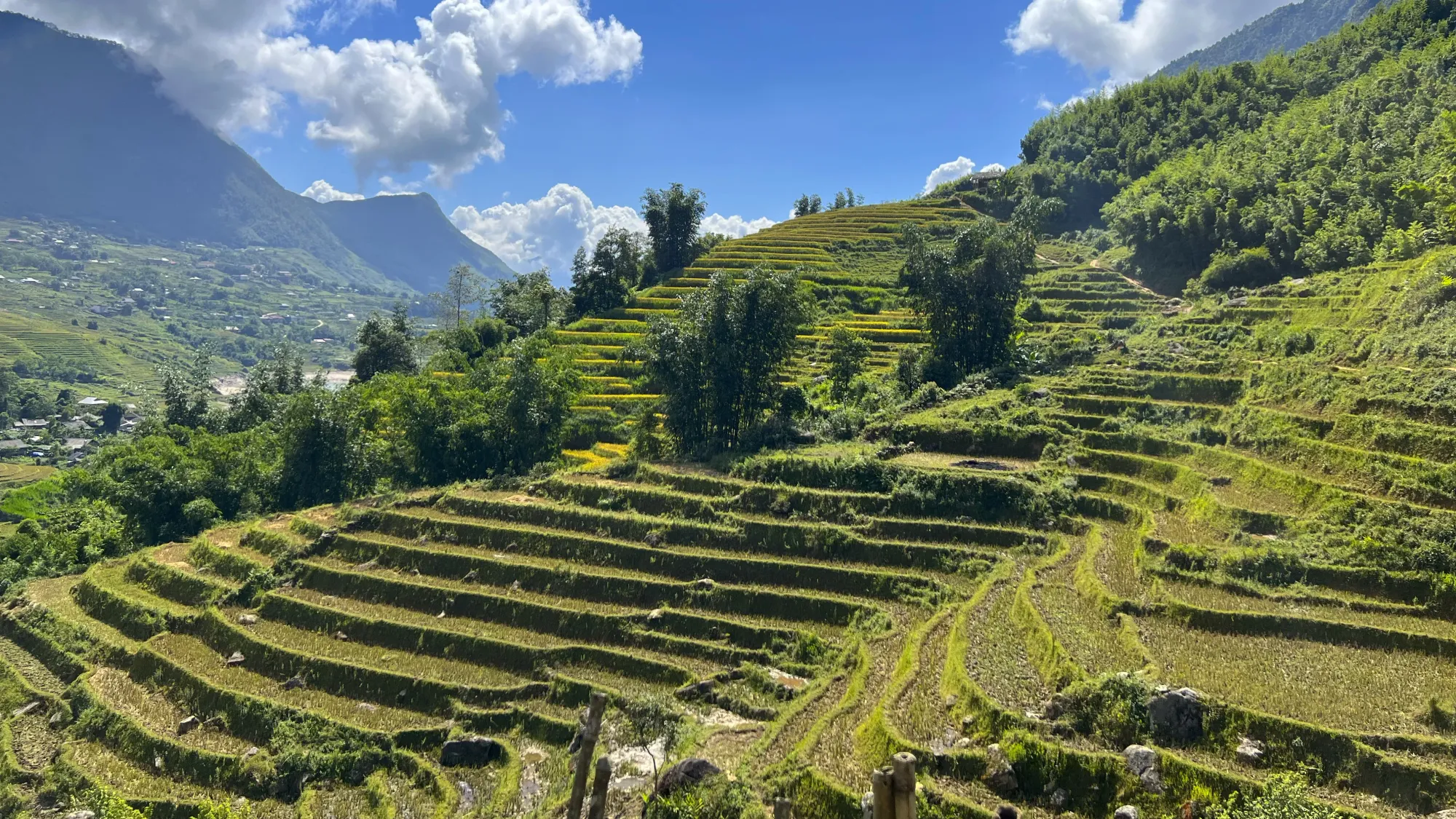 Sapa rice fields, shot from across the valley.