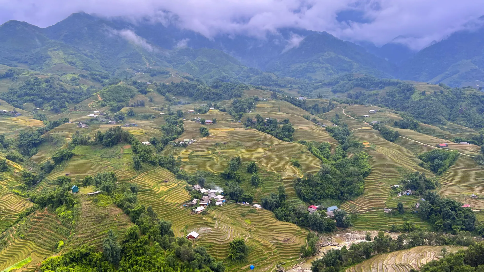 Mountain Ridge lined with rice terraces in Sa Pa, Vietnam