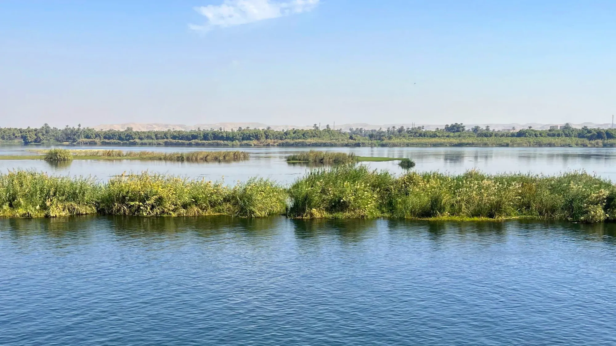 Blue water with green river reeds