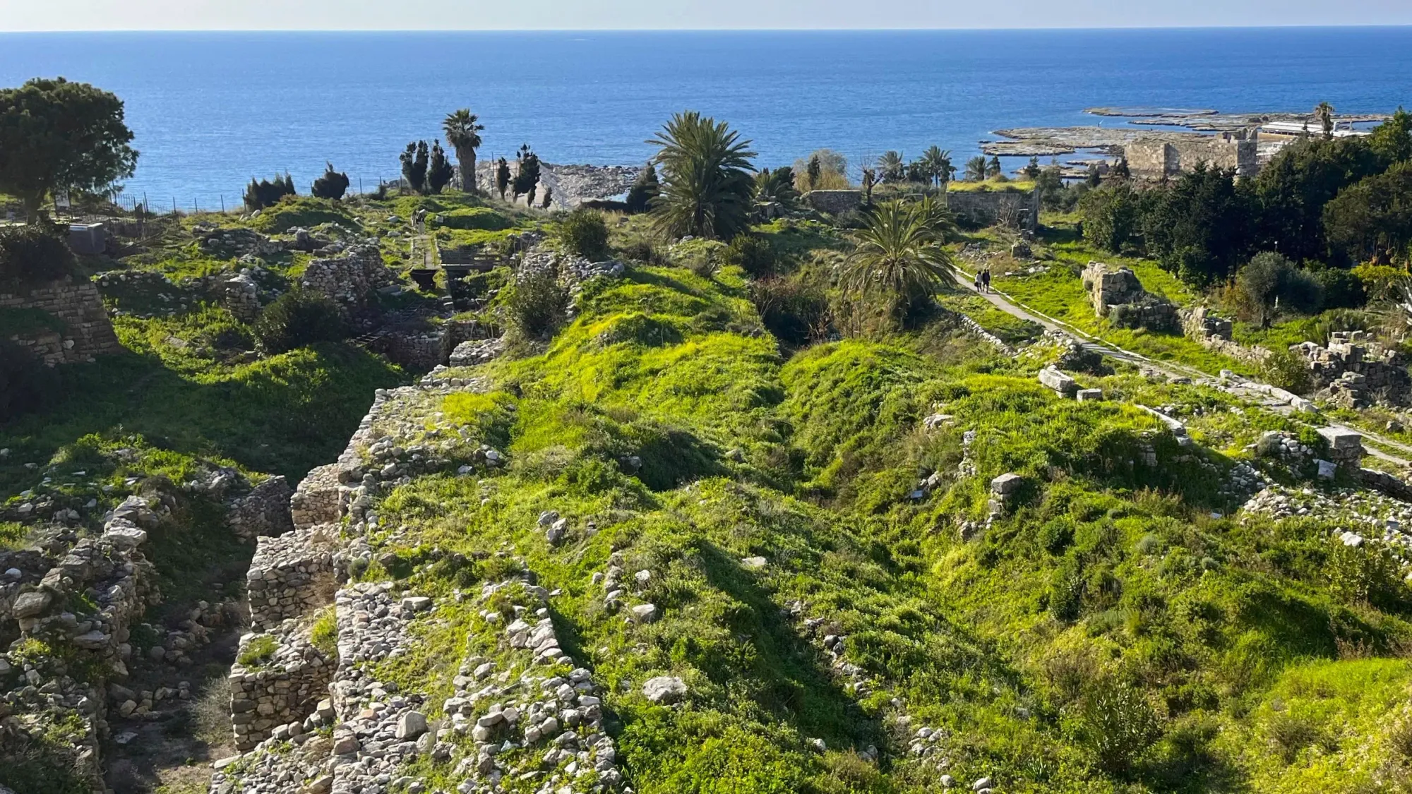 Vibrant greenery overlooking the Mediterranean Sea