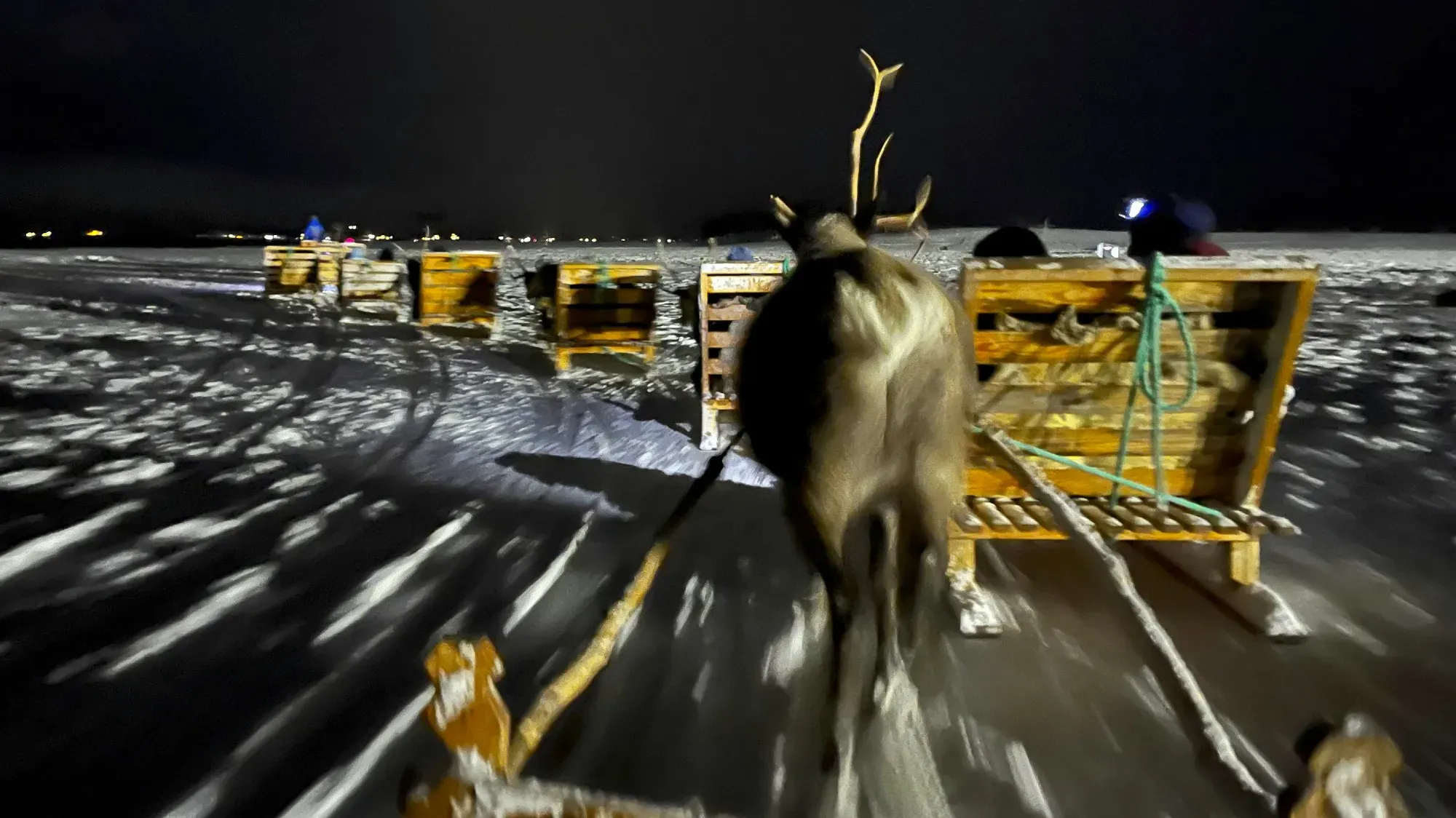 Sequence of wooden sleds pulled at night by reindeer