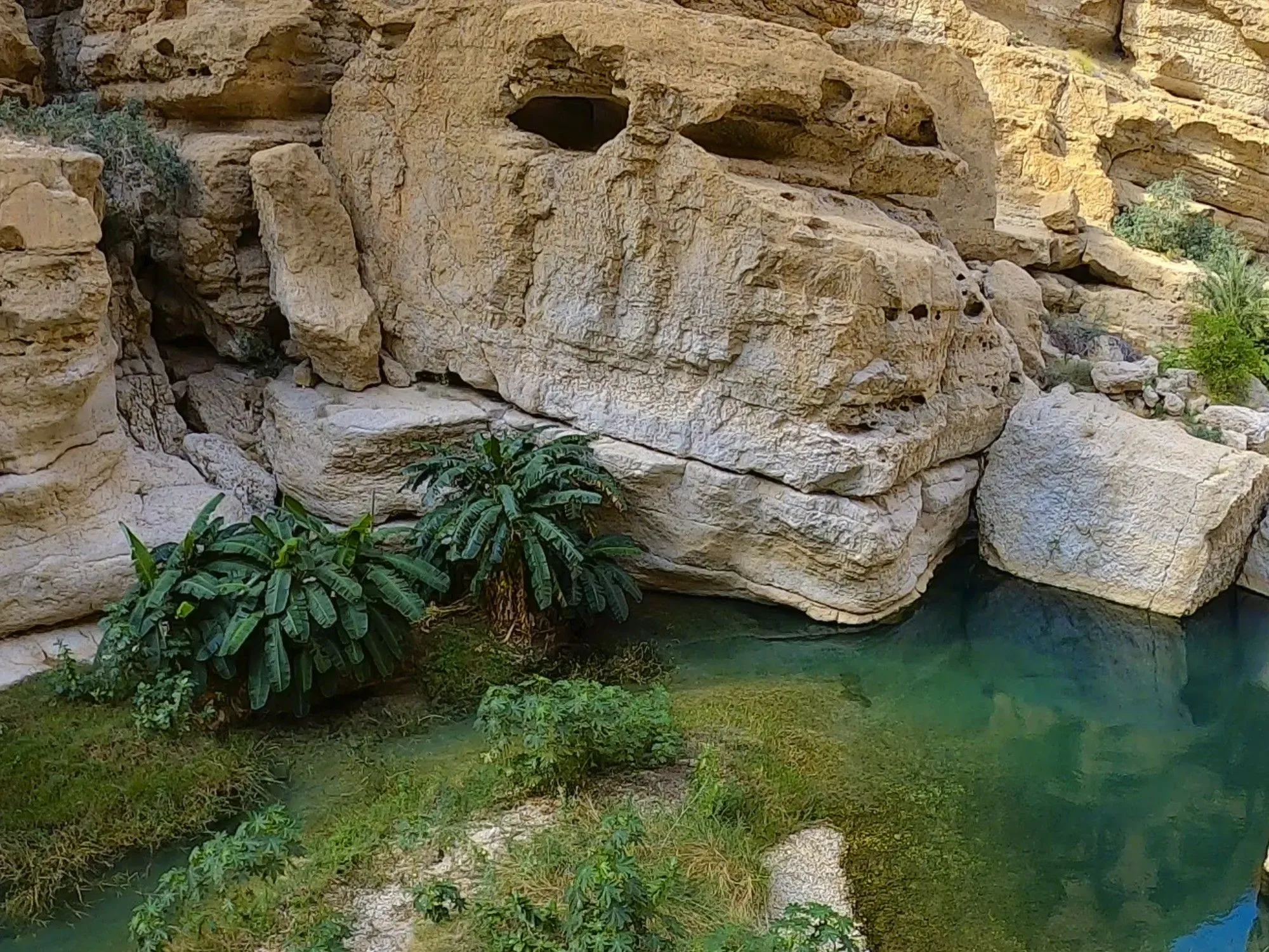 Large sandstone valley with green water and vegetation at the base