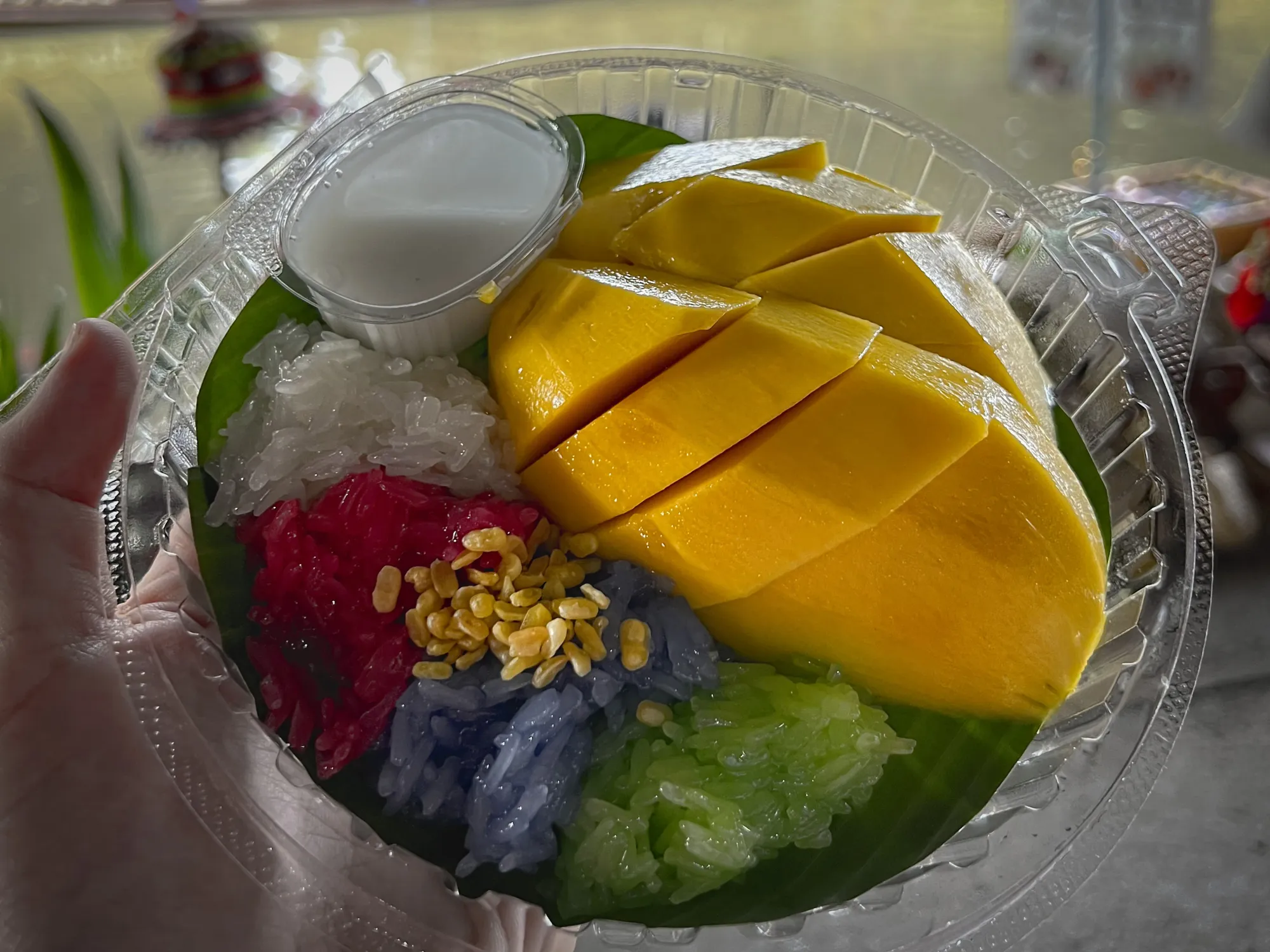 Mango sticky rice with colored sticky rice in a plastic container, floating markets in the background.