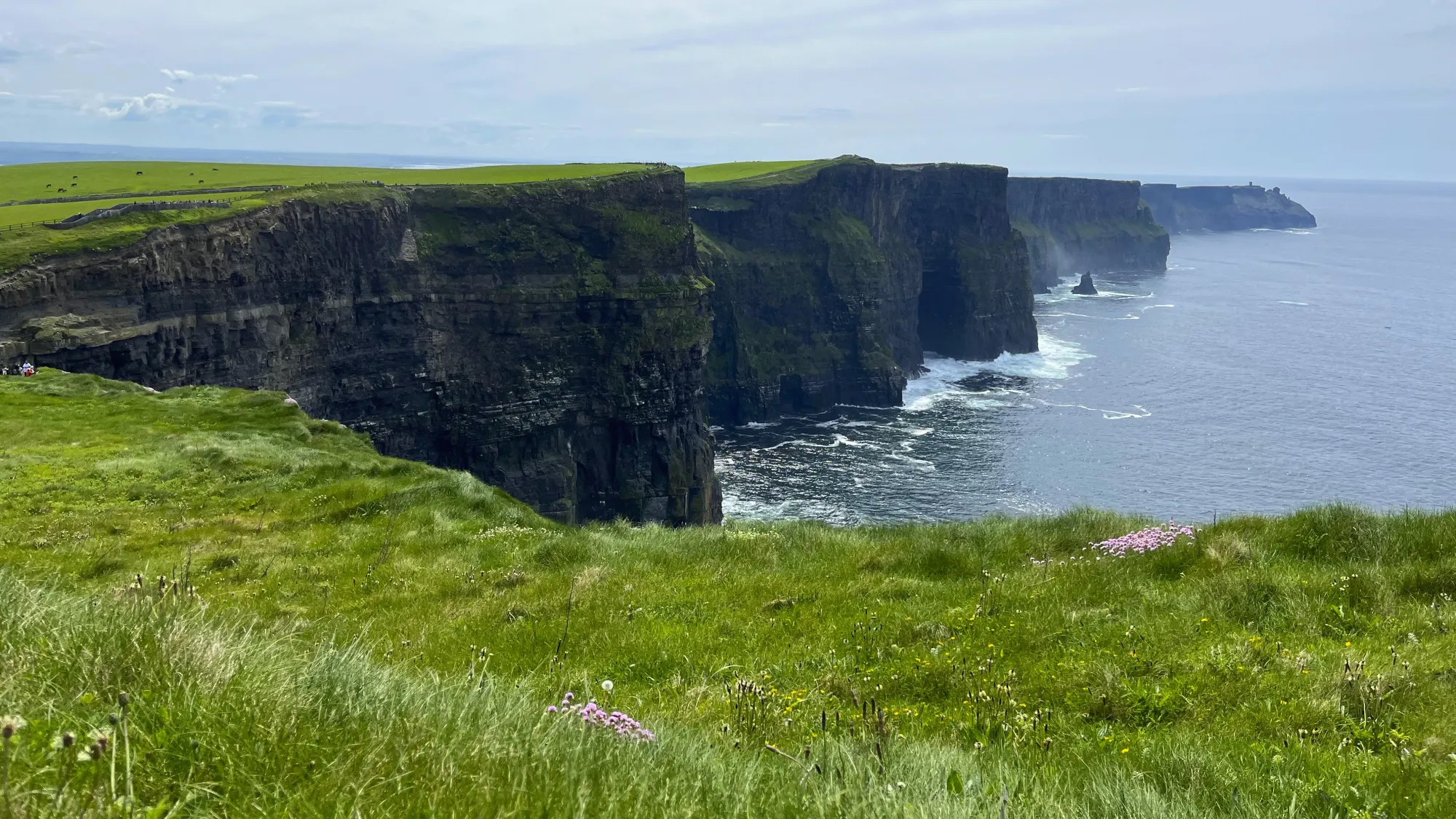 Curved cliffs with sharp drop-off into the ocean