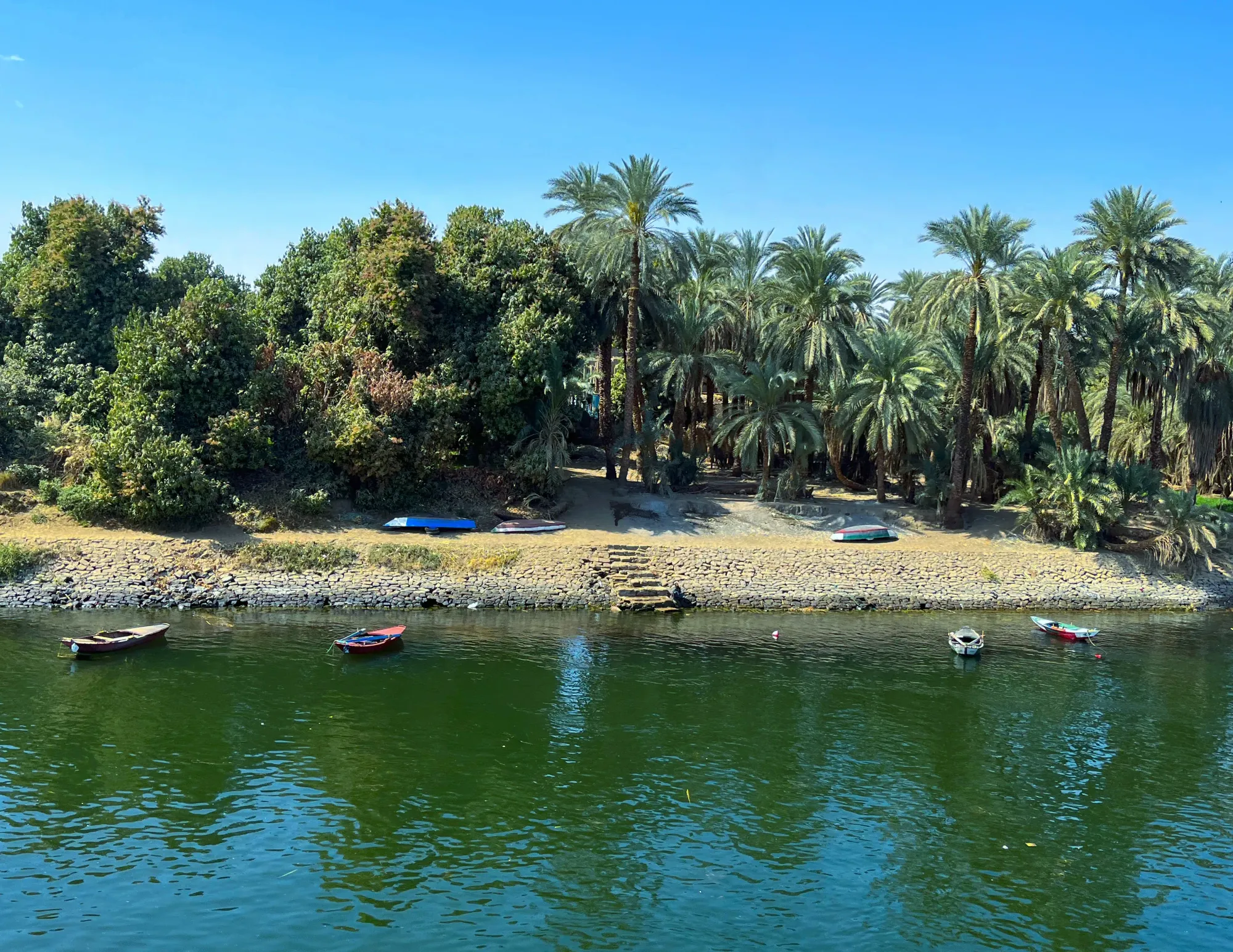 Green palm-tree adorned coastline with small boats in the water