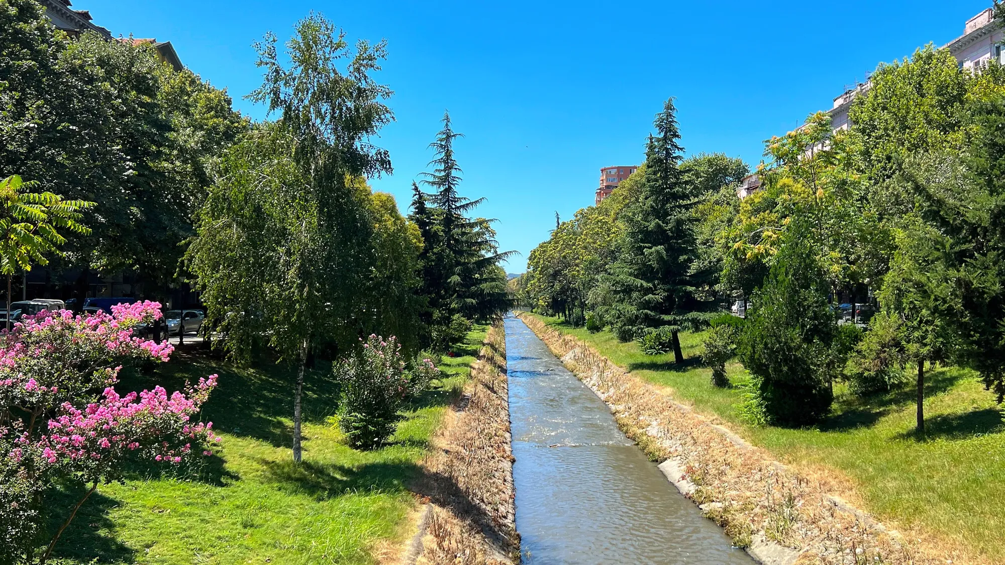 Water in a canal flowing between trees