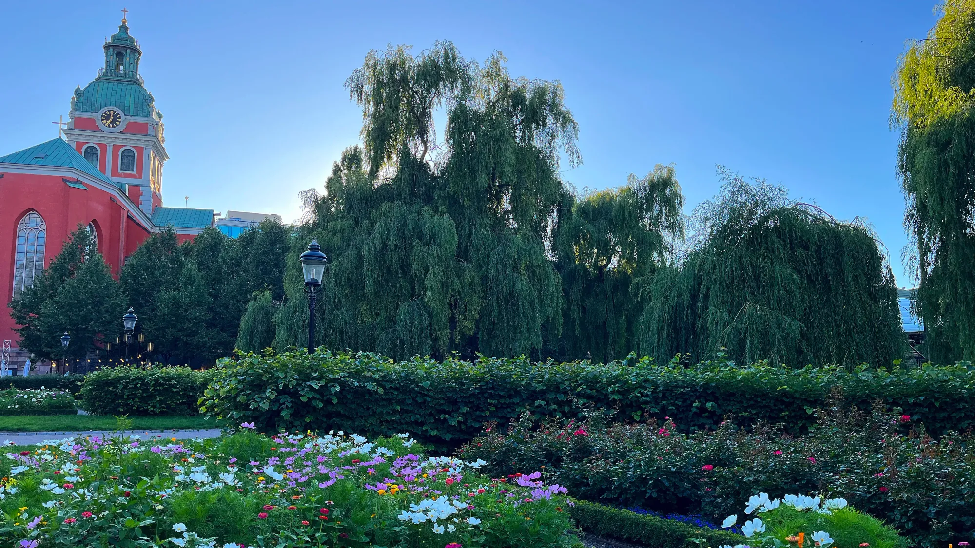 Green garden of flowers with pink building in the background