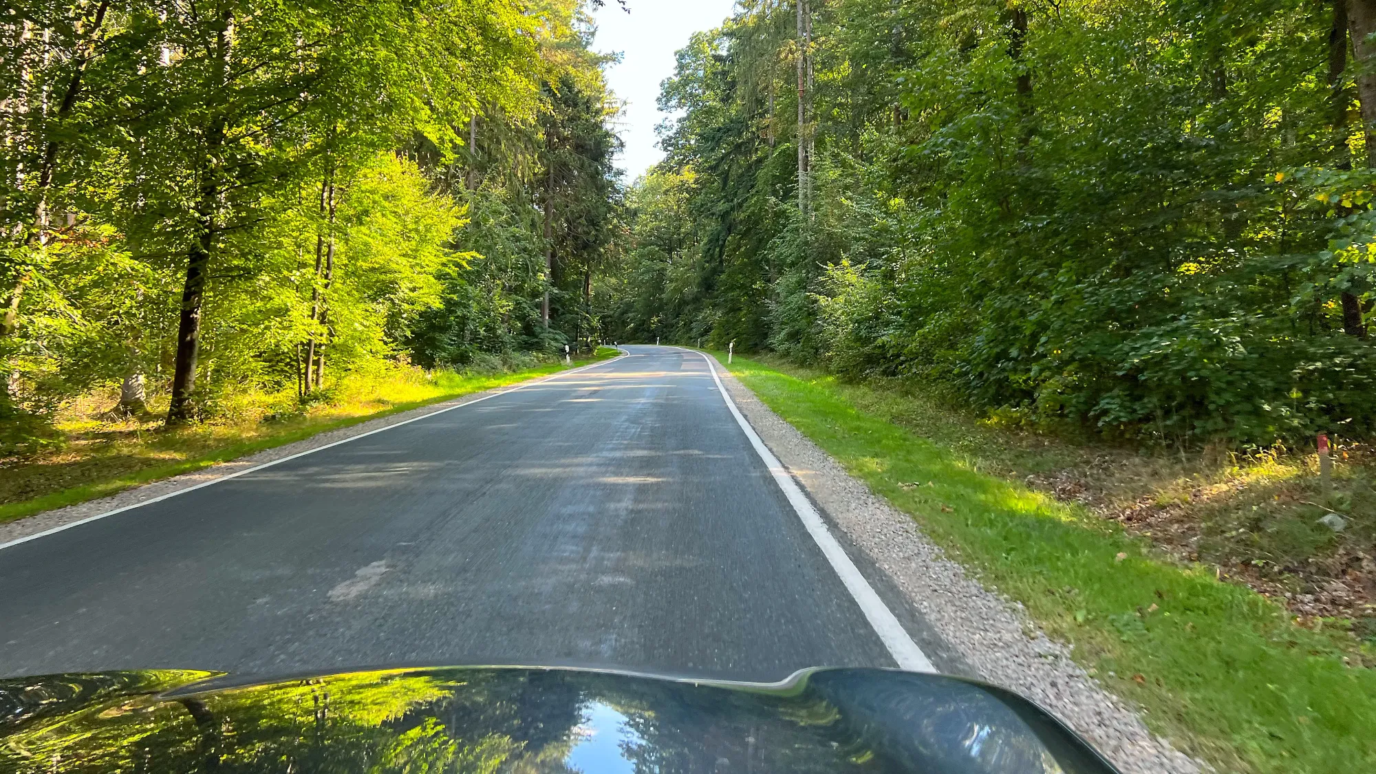 Green foliage on either side of an empty road with the reflection on a silver car hood