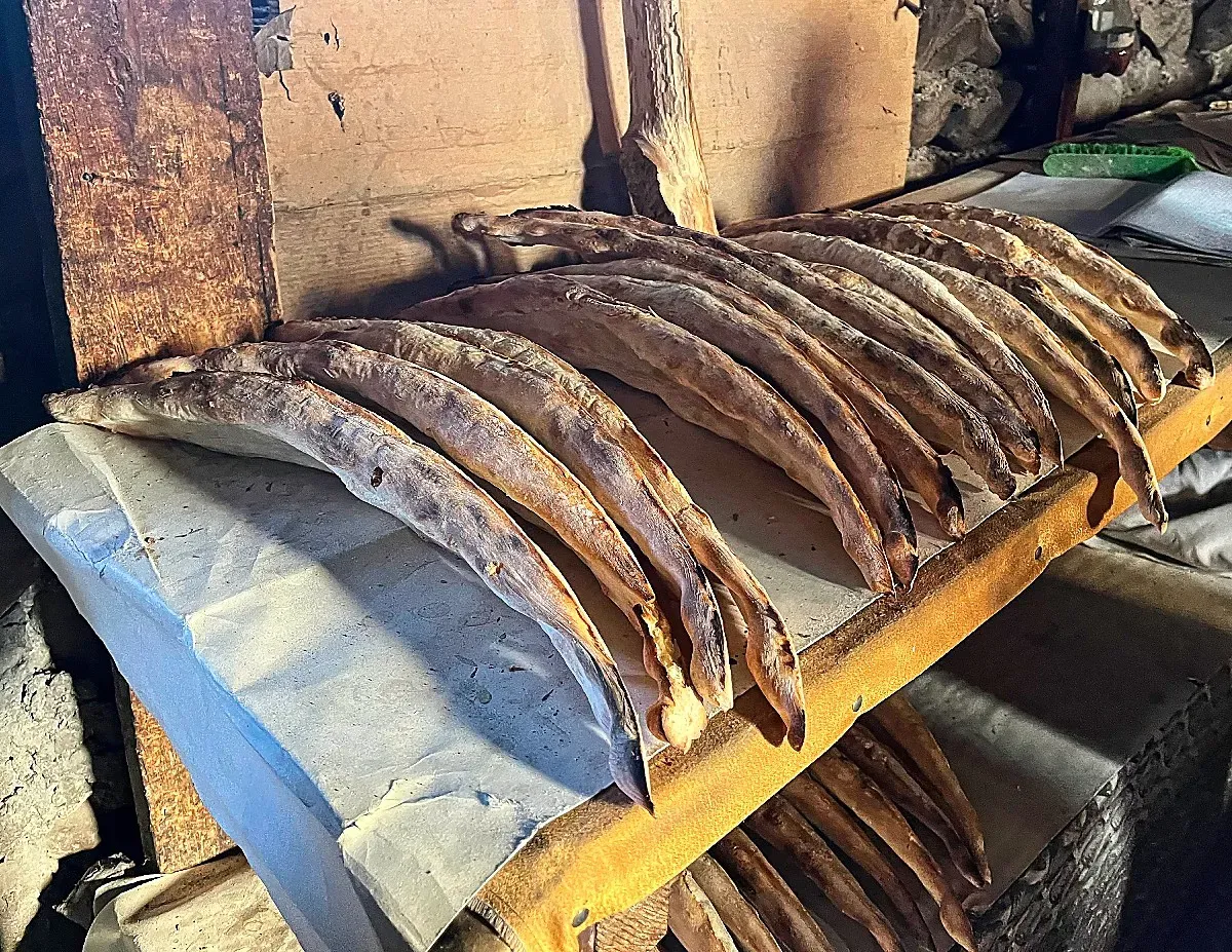 A row of fresh baked boat-shaped bread