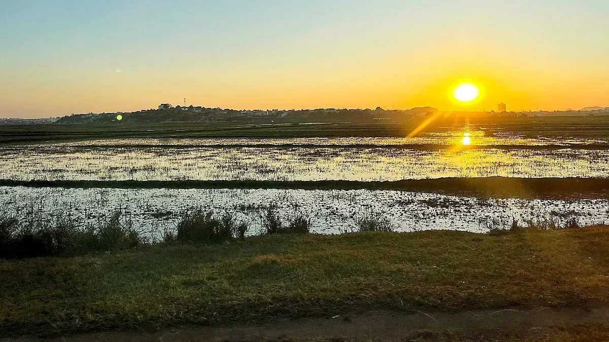 Bright sunset over the city reflecting in the rice paddies.