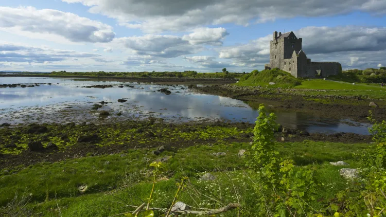 Wet green land with a grey stone castle in the corner