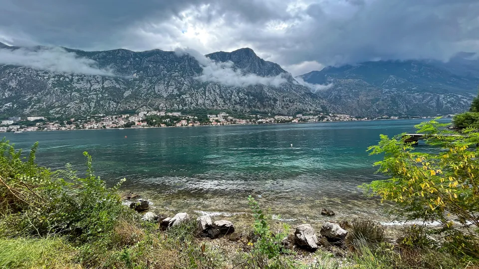 Blue water with green shrubbery on the shore