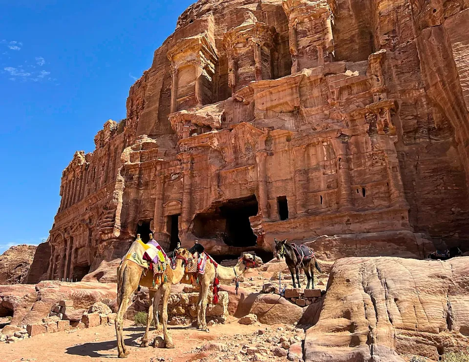Two camels and a donkey standing in front of one of the ancient Petra buildings carved into the rock face
